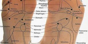 Judy Buckley School of Reflexology Judy Buckley School of Reflexology