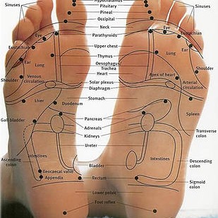 Judy Buckley School of Reflexology