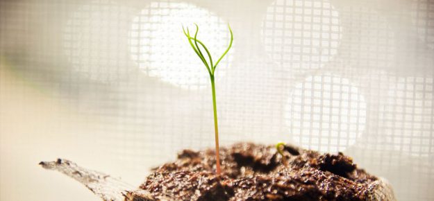 growth-1940x900_28859