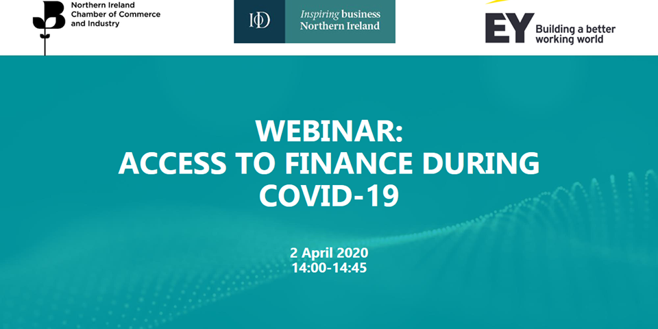 Webinar access to finance during covid-19