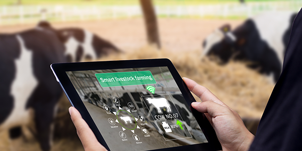 rural-micro-business 2020