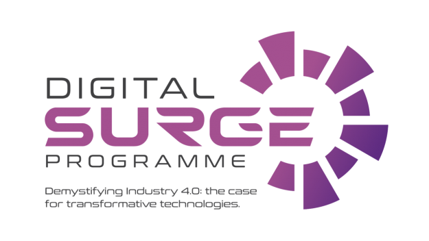 Digital-Surge-Programme