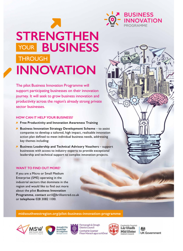 Business Innovation Programme