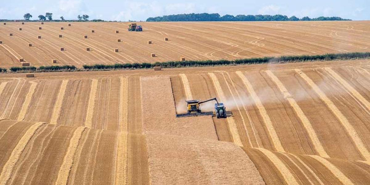 BN_farming_futures_resilience