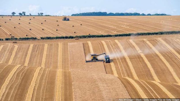 BN_farming_futures_resilience