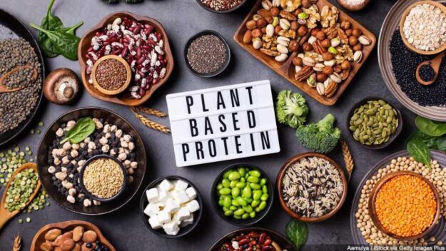 BN_Plant_Protein