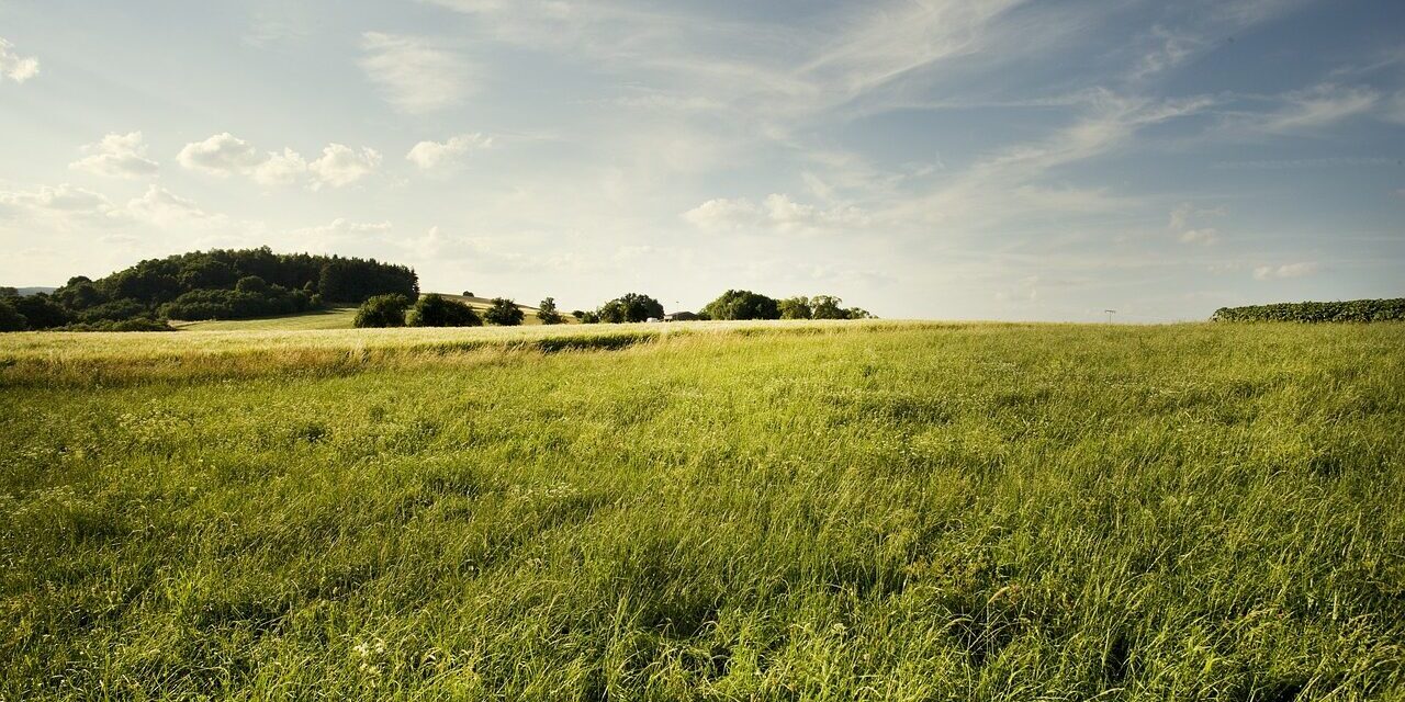 landscape-2124952_1280-1280×720