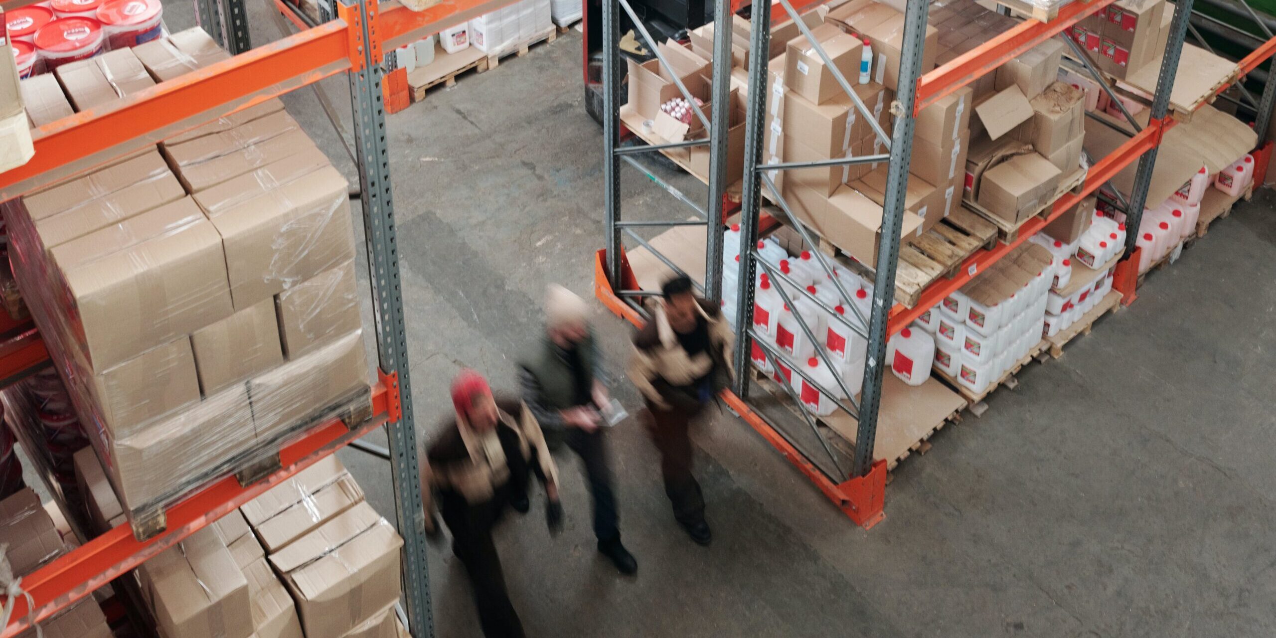 pexels-tiger-lily-4481323 (1)