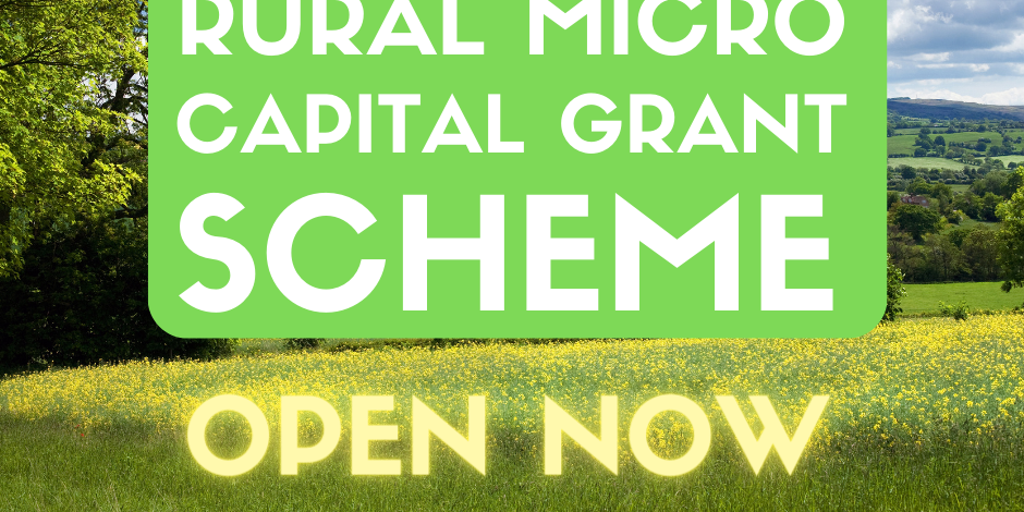RURAL+CAPITAL+MICRO+GRANT