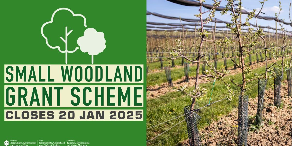 small woodlane grant scheme 2025