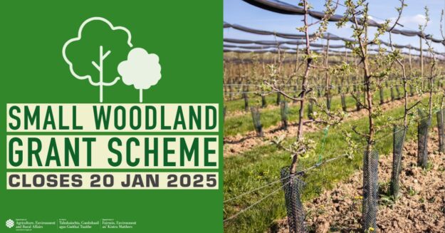 small woodlane grant scheme 2025