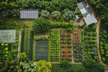 Farming