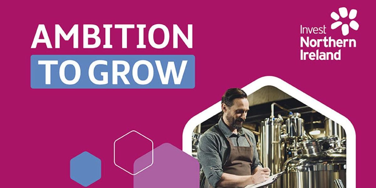 BN_Ambition-to-Grow_Jan2025